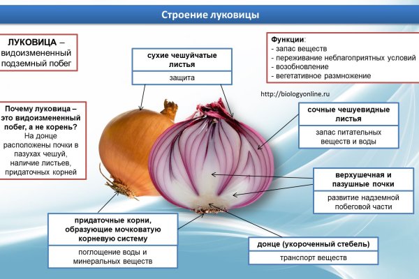 Кракен официальное зеркало 2024